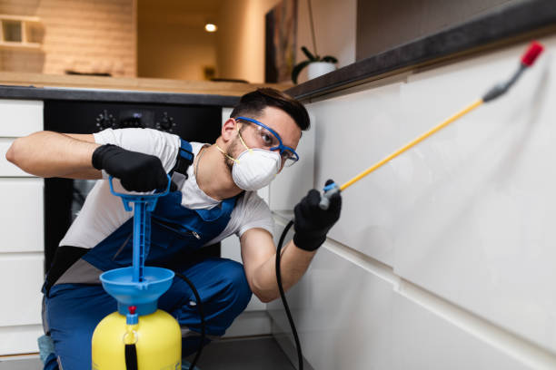 Reliable Yorketown, NJ Pest Control Solutions