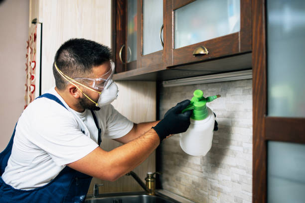 Pest Control for Restaurants in Yorketown, NJ