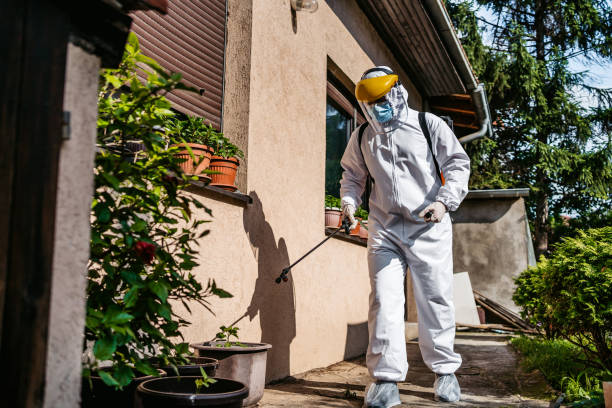 Best Insect Control  in Yorketown, NJ