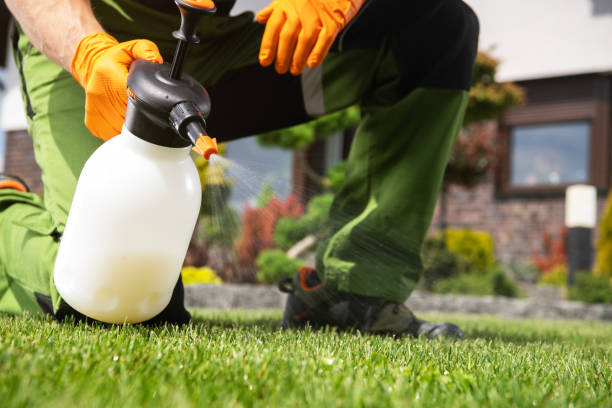 Best Commercial Pest Control Services  in Yorketown, NJ