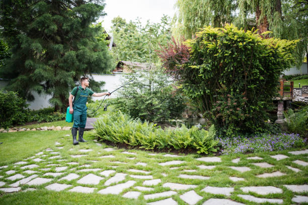 Best Best Pest Control Companies  in Yorketown, NJ