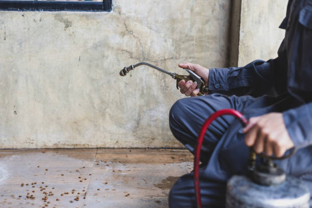 Best Termite Control Services  in Yorketown, NJ